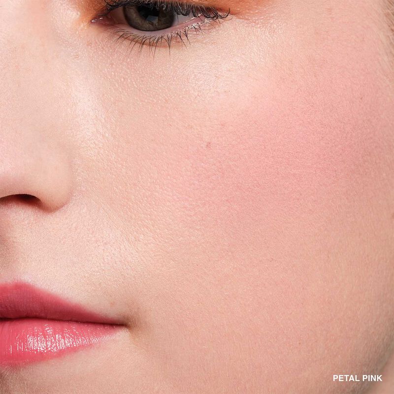 Bobbi Brown Pot Rouge Velvet Matte - Petal Pink image number 2